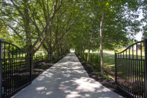Black Mulch Driveway