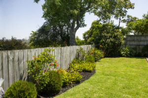 Black Mulch in garden left