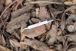GW Raw Bark re-sized